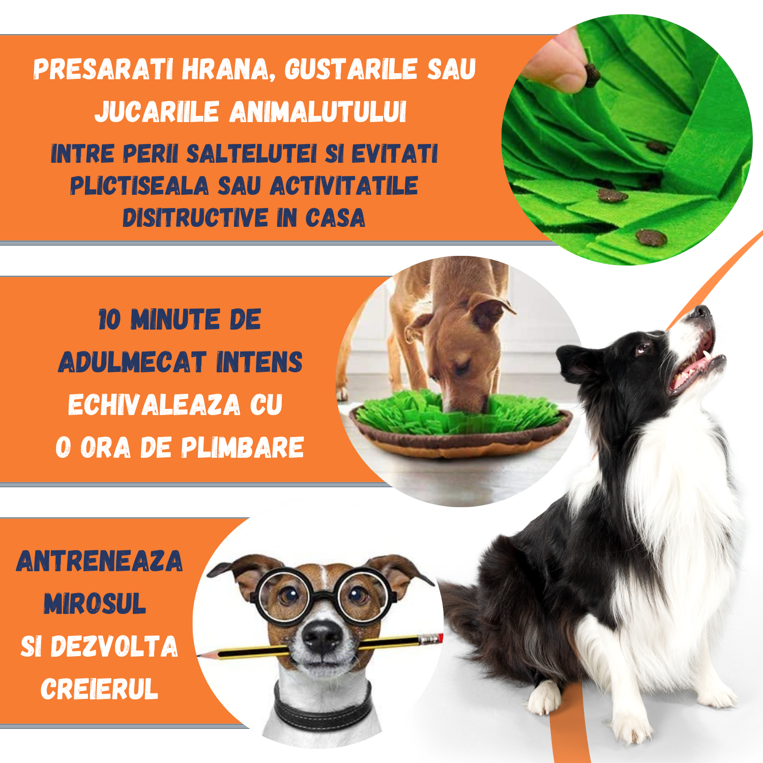 Jucarie pentru Adulmecat Interactiva Snuffle HUGG® pentru Animale de Companie